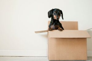 closing costs atlanta