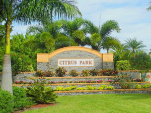 Citrus Park FL Mortgages